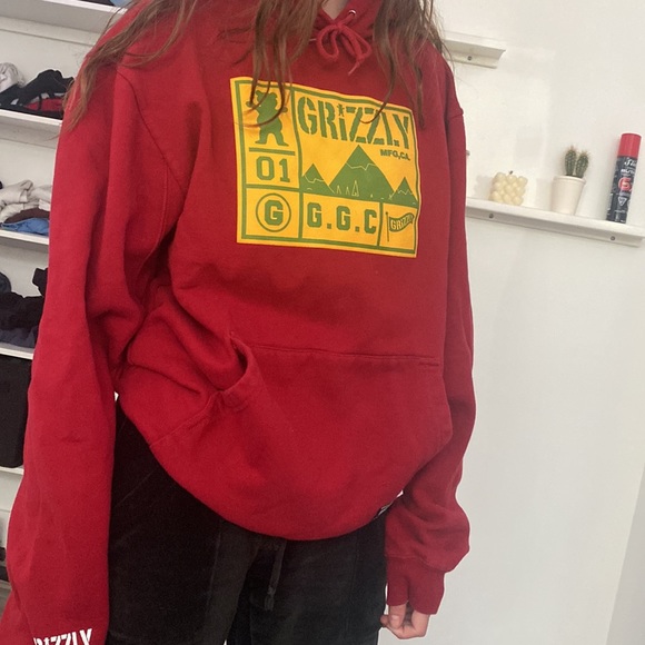 Grizzly hoodie - Picture 3 of 3